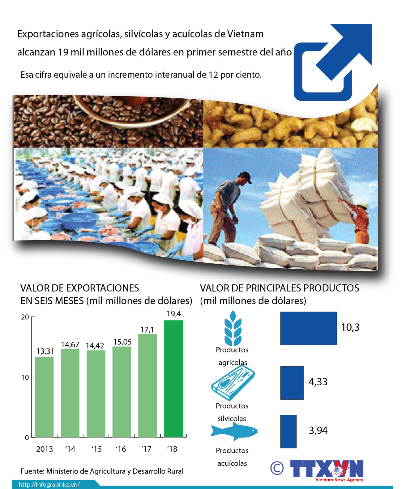 [Infografía] Exportaciones agrícolas de Vietnam alcanzan 19 mil millones de dólares ảnh 1