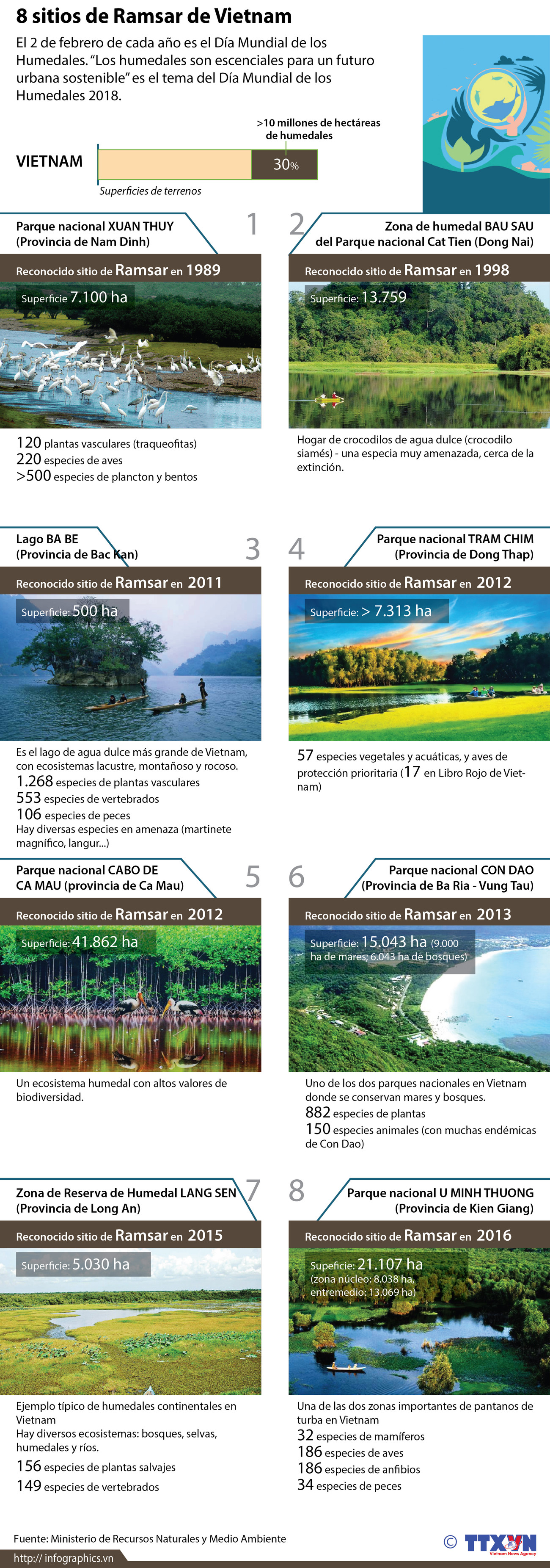 Ocho sitios de Ramsar de Vietnam ảnh 1