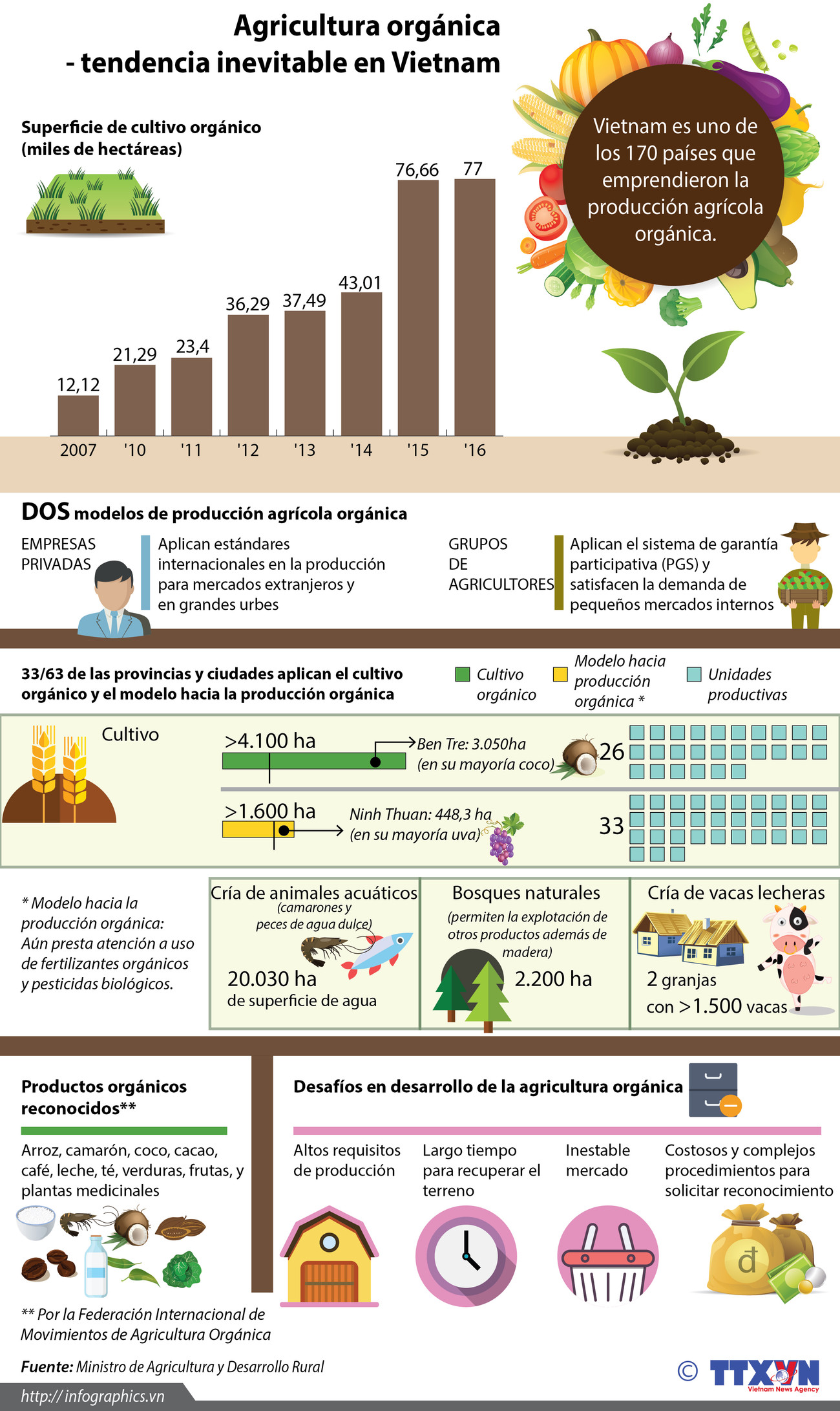 [Infografía] Agricultura orgánica-tendencia inevitable en Vietnam ảnh 1
