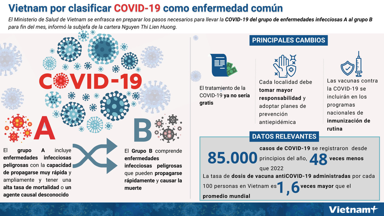 Vietnam por clasificar COVID-19 como enfermedad común ảnh 1 Vietnam por clasificar COVID-19 como enfermedad común ảnh 1