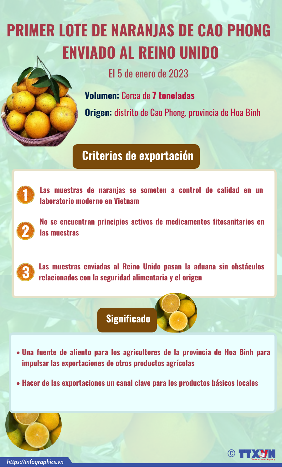 Primer loto de naranja de Cao Phong enviado al Reino Unido ảnh 1