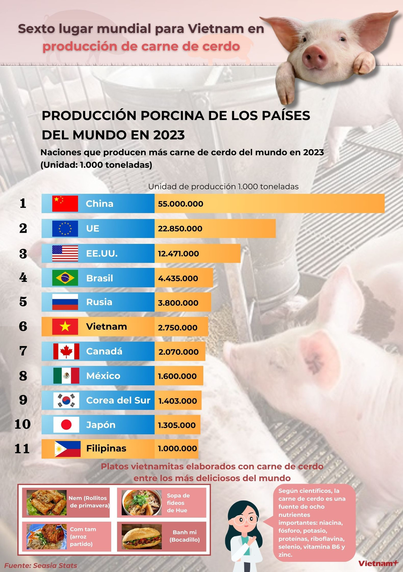 Sexto lugar mundial para Vietna﻿m en producción de carne de cerdo ảnh 1