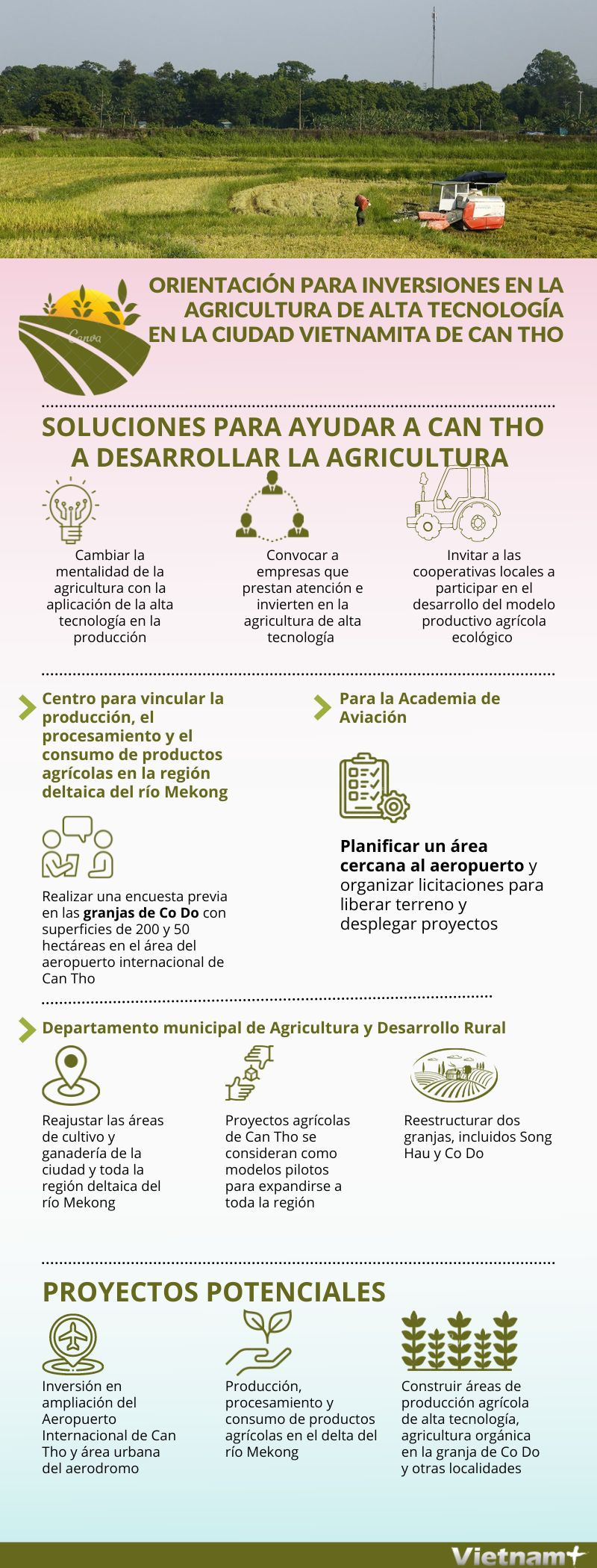 Orientación para inversiones en la agricultura de alta tecnología en localidad vietnamita ảnh 1