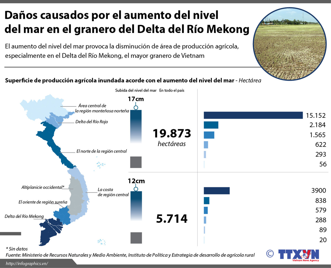 [Infografía] Daños causados por el aumento del nivel del mar en Vietnam ảnh 1