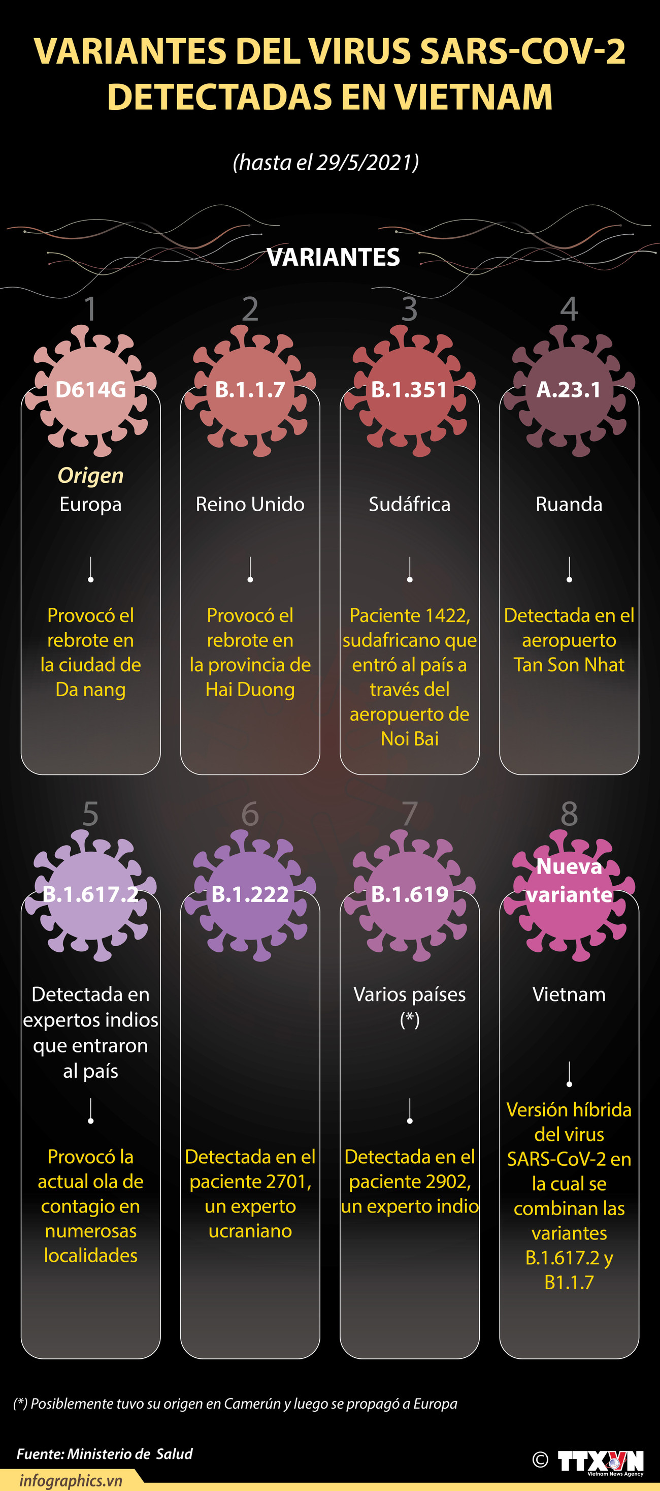 Las variantes del virus SARS-CoV-2 detectadas en Vietnam ảnh 1
