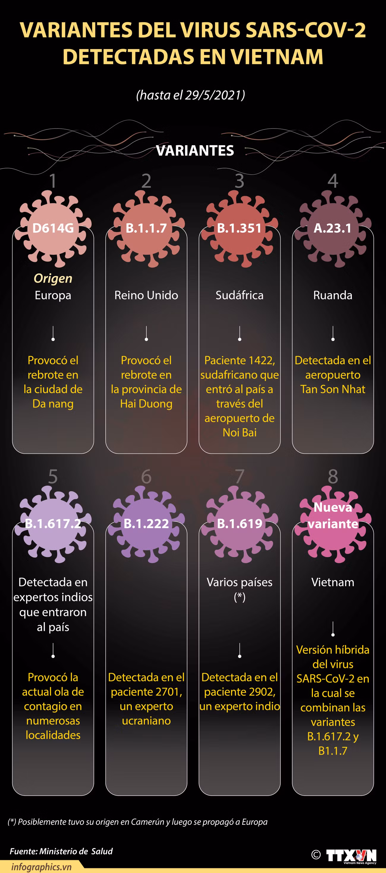 Las variantes del virus SARS-CoV-2 detectadas en Vietnam ảnh 1