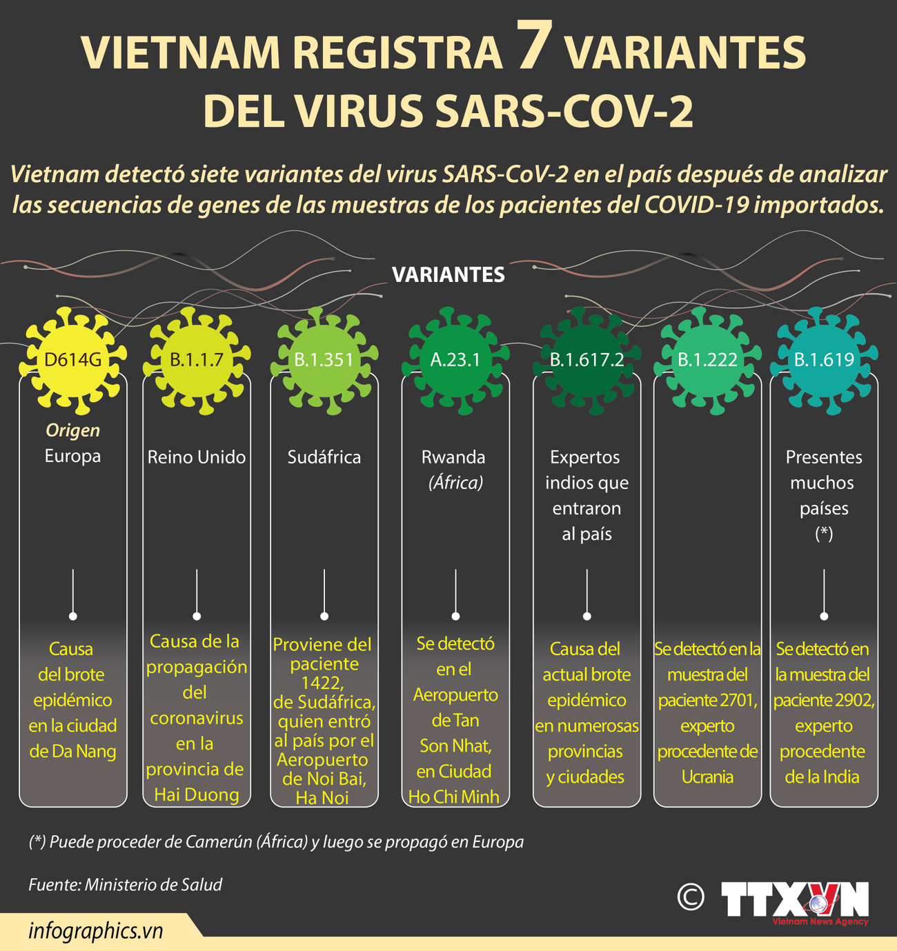 Vietnam registra siete variantes del virus SARS-CoV-2 ảnh 1 Vietnam registra siete variantes del virus SARS-CoV-2 ảnh 1