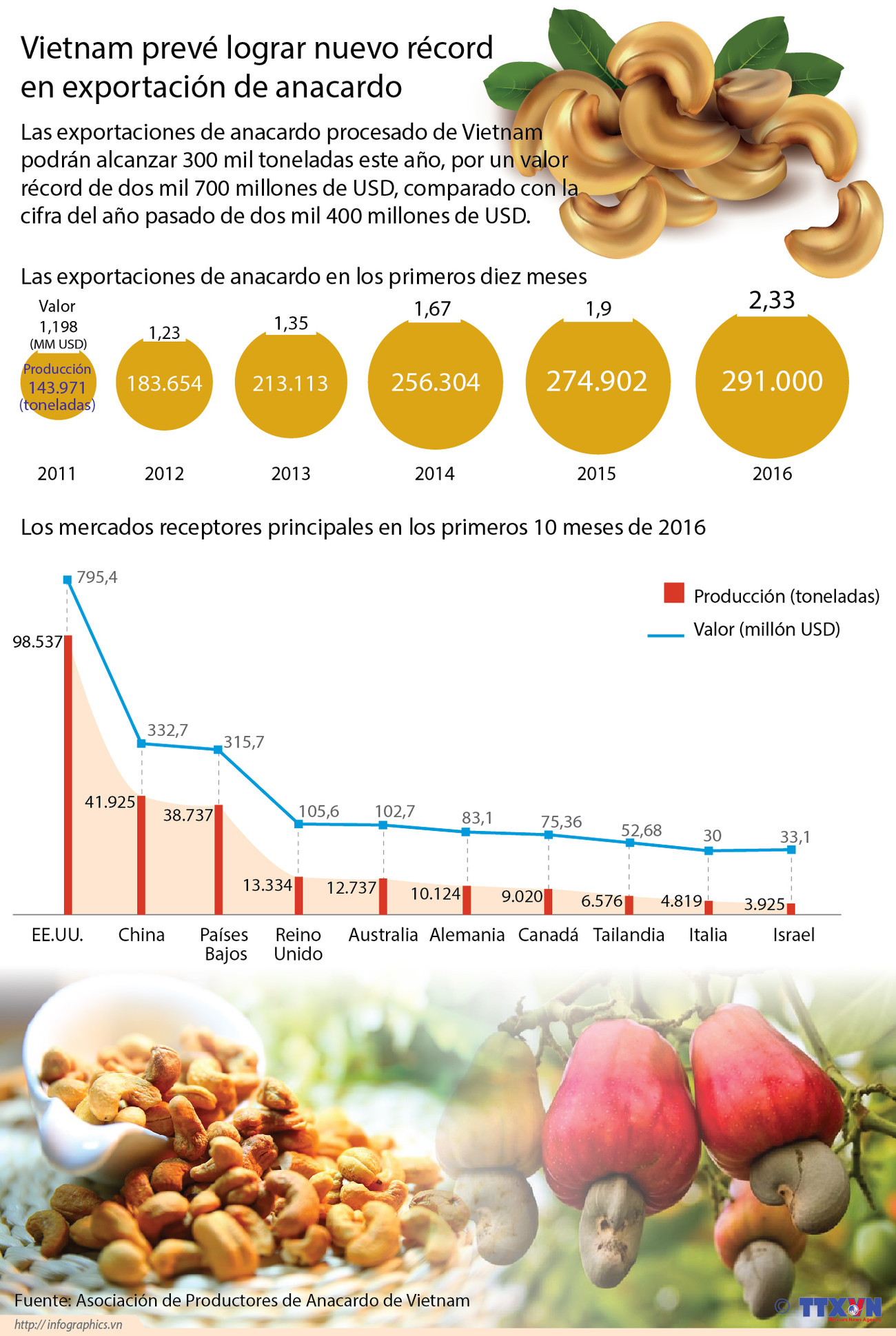 [Infografia] Vietnam prevé lograr nuevo récord en exportación de anacardo ảnh 1