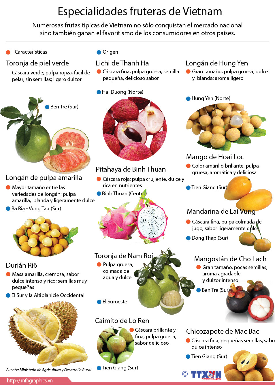 [Infografia] Especialidades fruteras de Vietnam ảnh 1