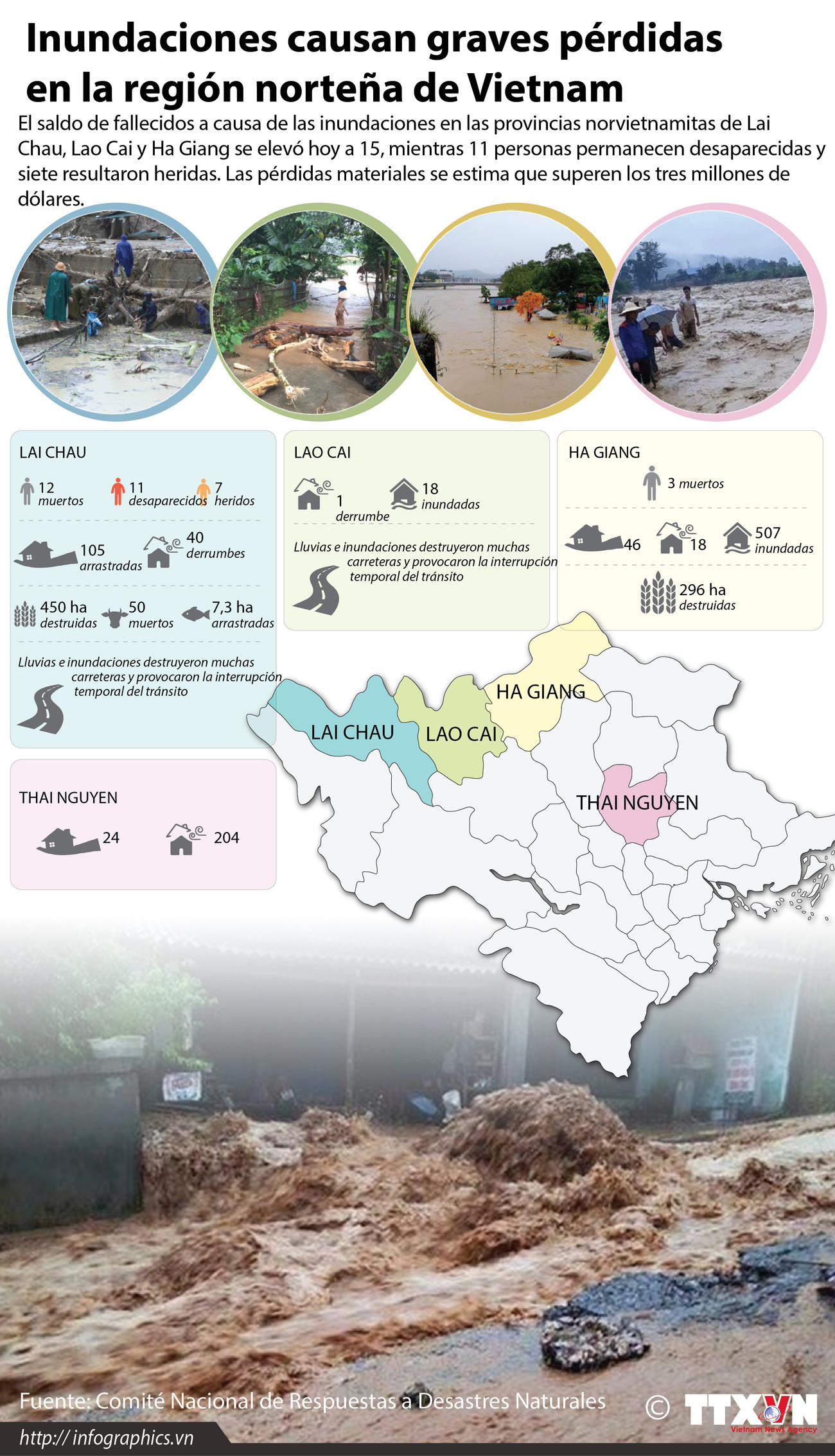 [Infografía] Inundaciones causan graves pérdidas en la región norteña de Vietnam ảnh 1