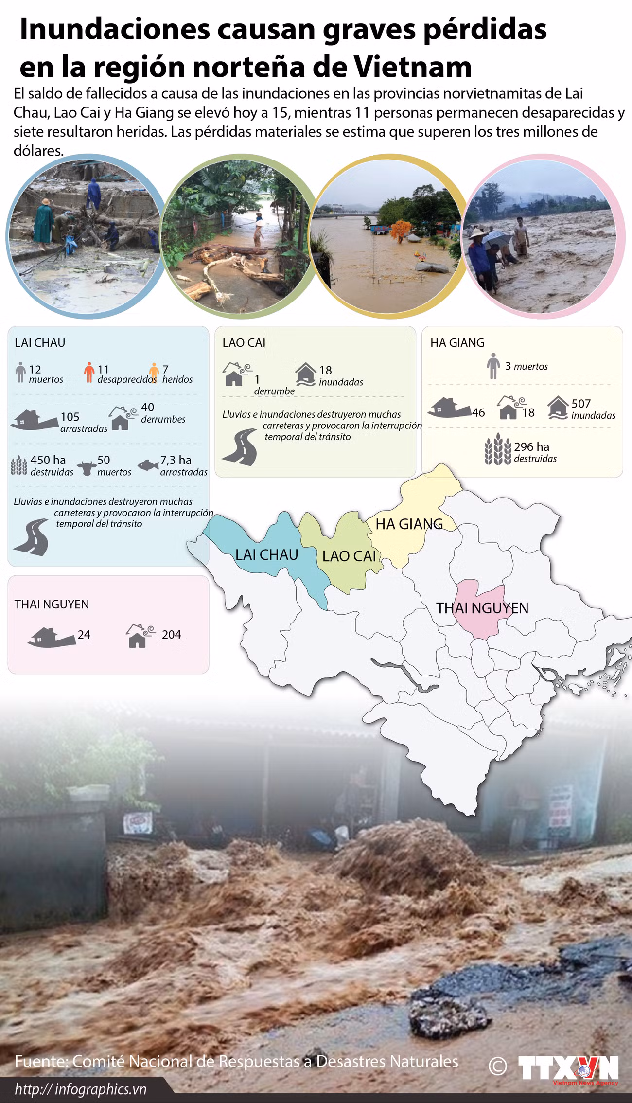 [Infografía] Inundaciones causan graves pérdidas en la región norteña de Vietnam ảnh 1