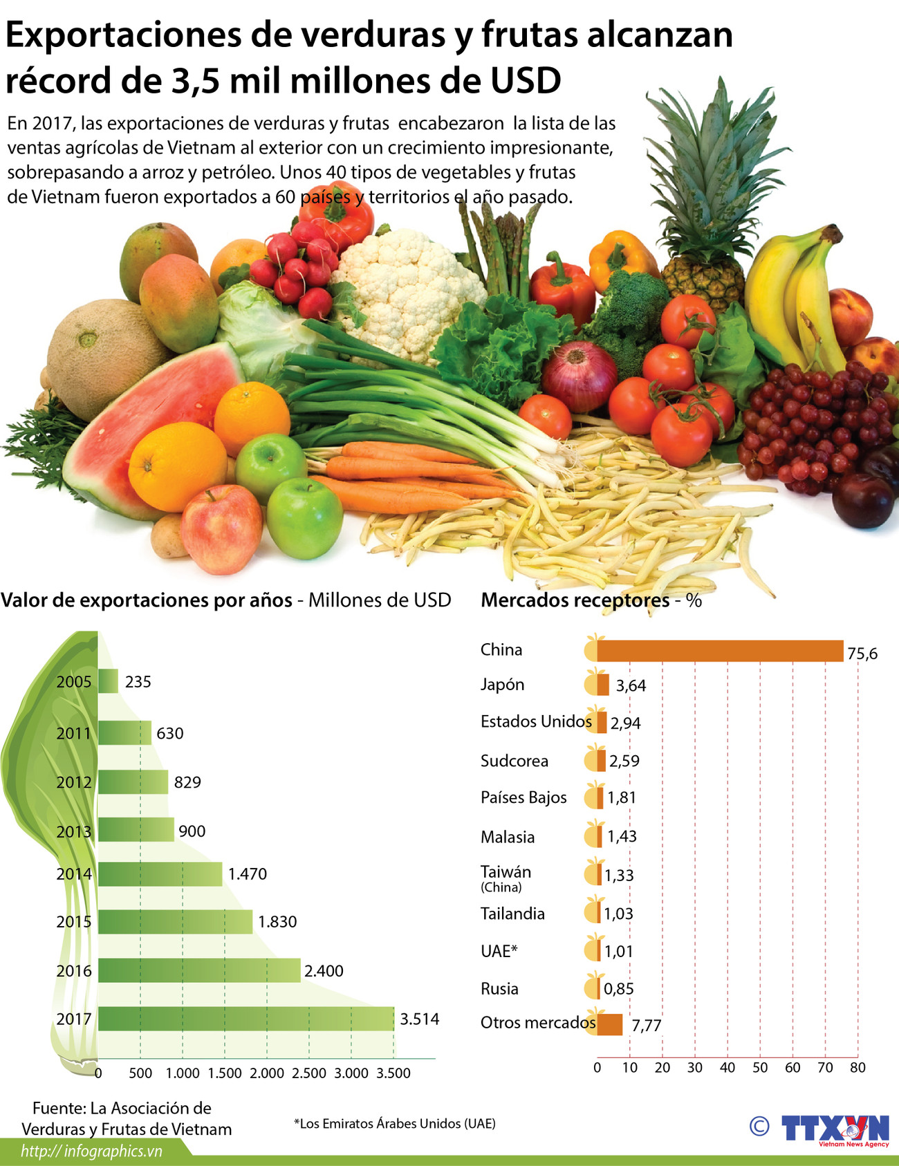 Exportaciones de verduras y frutas alcanzan récord de 3,5 mil millones de USD ảnh 1 Exportaciones de verduras y frutas alcanzan récord de 3,5 mil millones de USD ảnh 1
