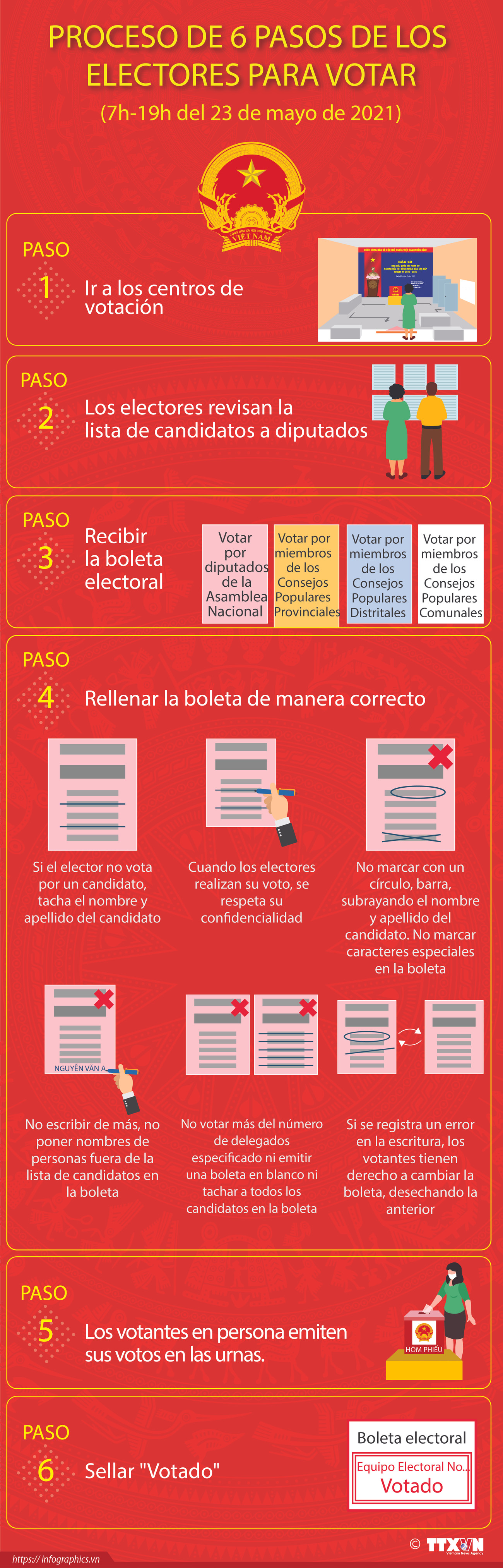 Proceso de seis pasos de los electores para votar en Vietnam ảnh 1