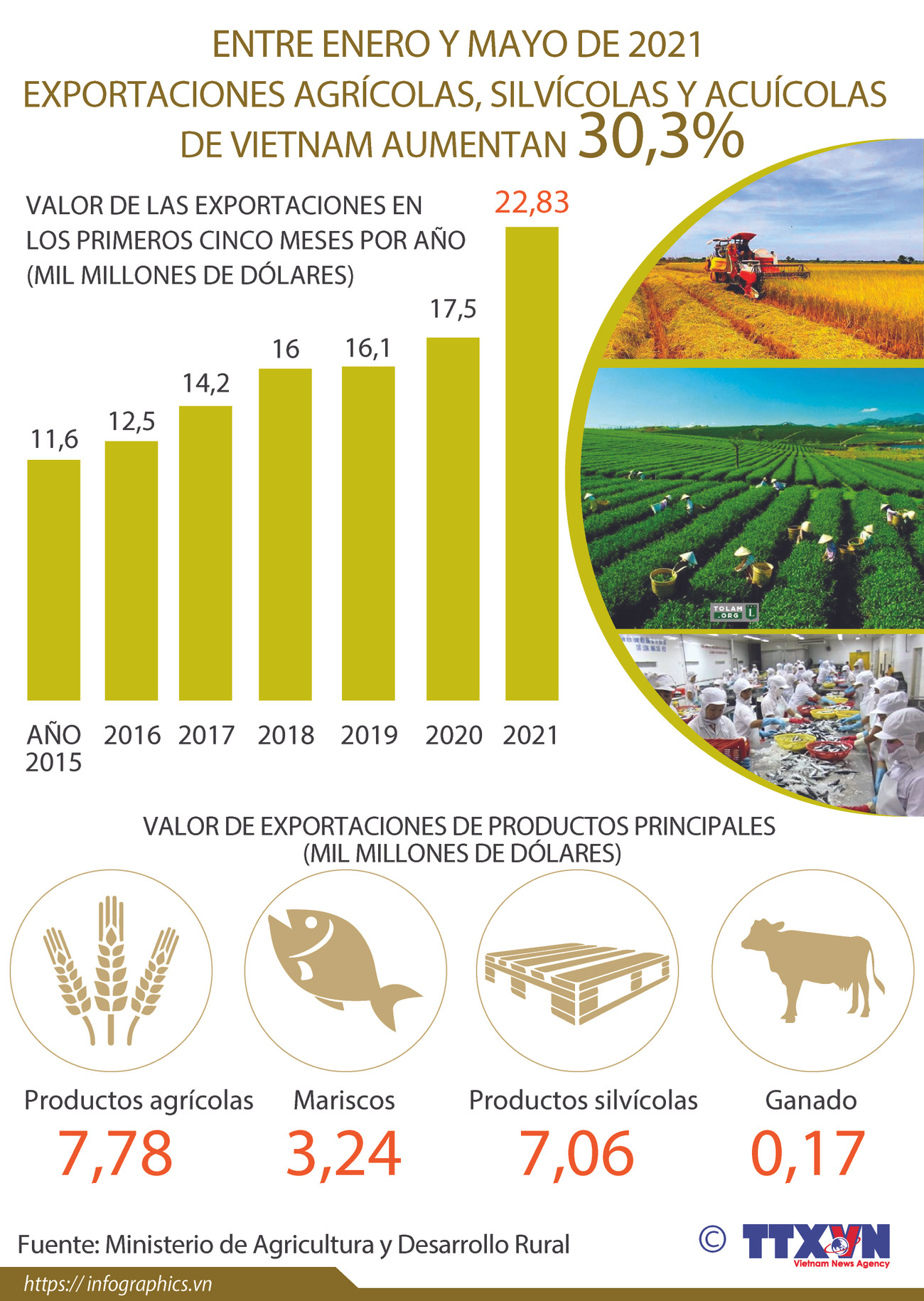 Crecen exportaciones agrícolas, silvícolas y acuícolas de Vietnam entre enero y mayo ảnh 1 Crecen exportaciones agrícolas, silvícolas y acuícolas de Vietnam entre enero y mayo ảnh 1