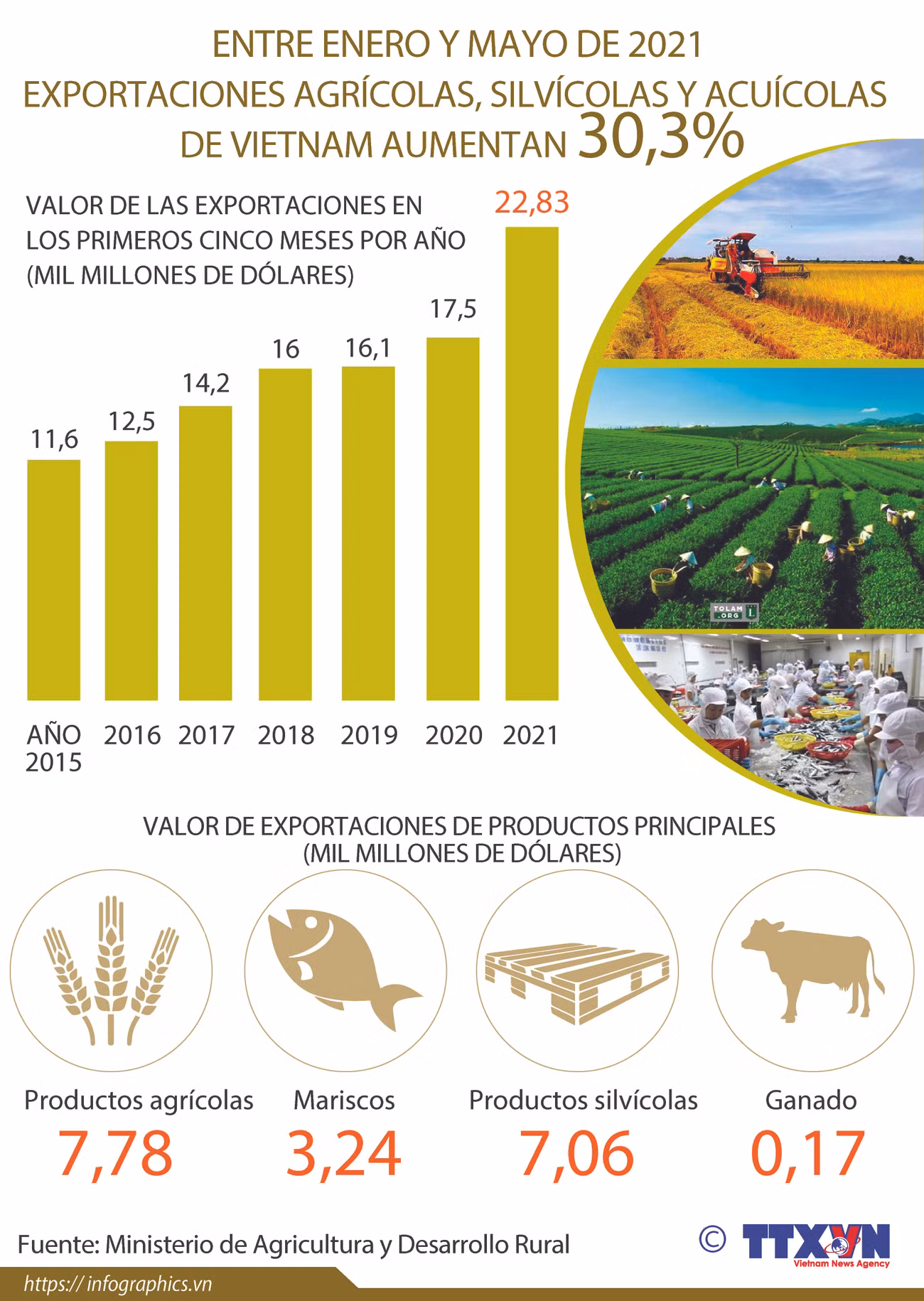 Crecen exportaciones agrícolas, silvícolas y acuícolas de Vietnam entre enero y mayo ảnh 1