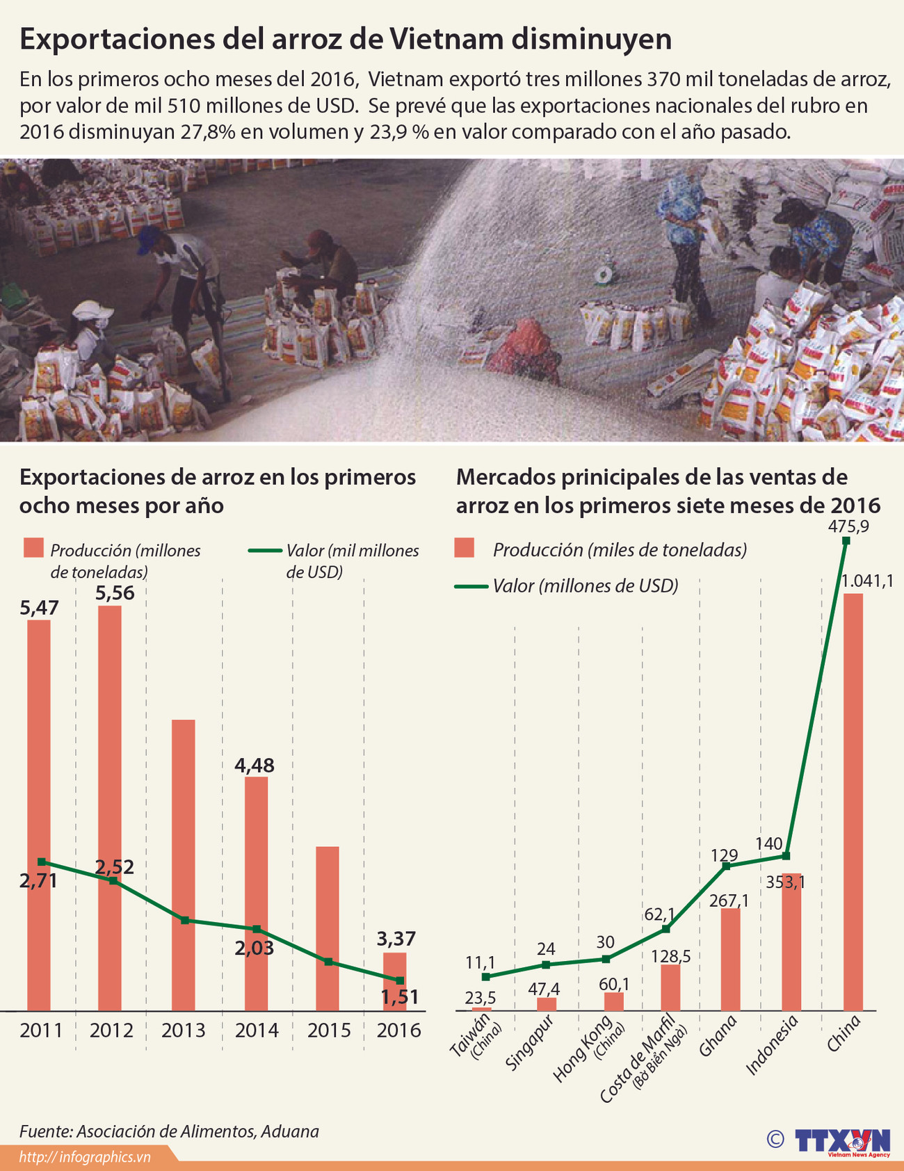 [Infografía] Disminuyen exportaciones de arroz de Vietnam ảnh 1