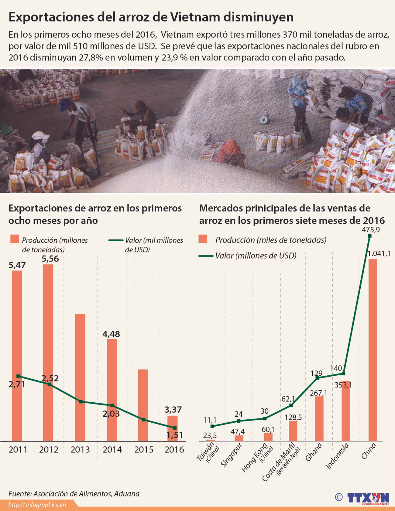 [Infografía] Disminuyen exportaciones de arroz de Vietnam ảnh 1