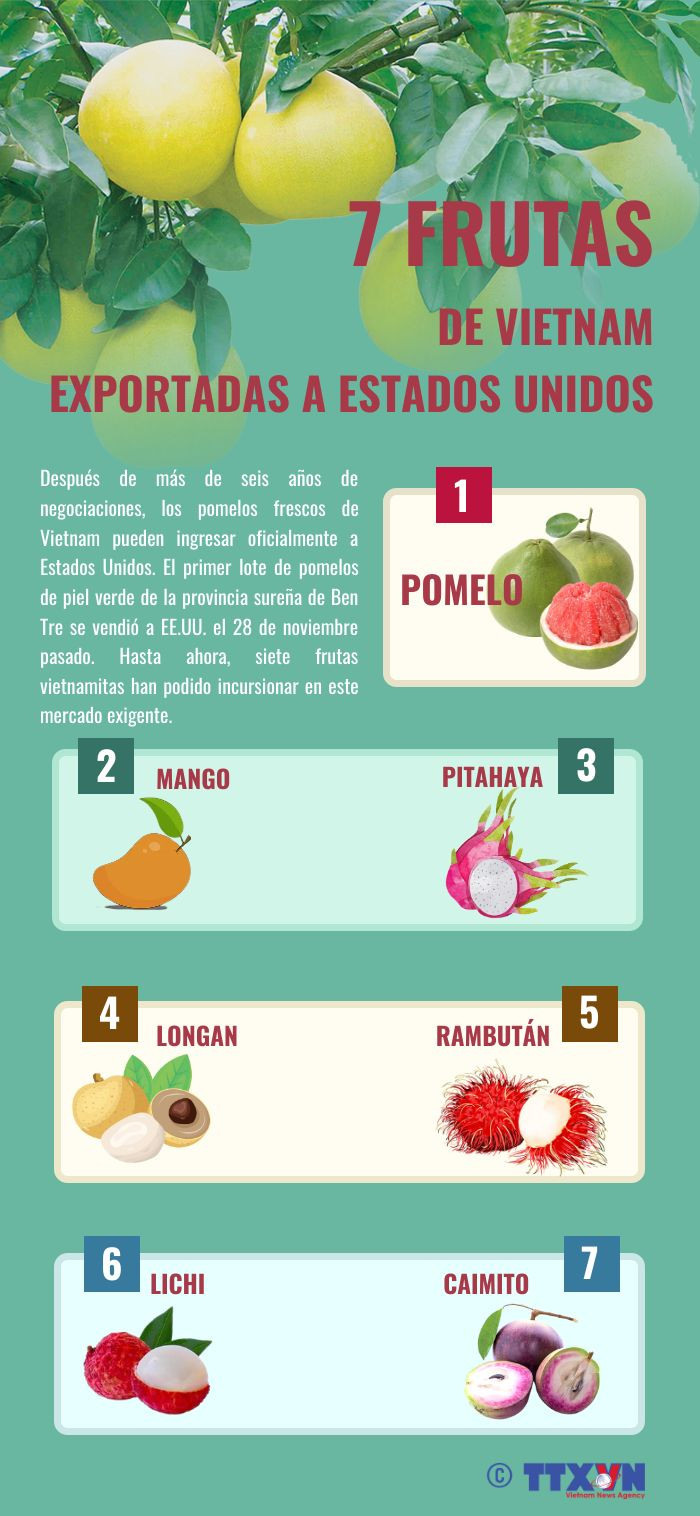 Siete frutas de Vietnam exportadas a Estados Unidos ảnh 1 Siete frutas de Vietnam exportadas a Estados Unidos ảnh 1