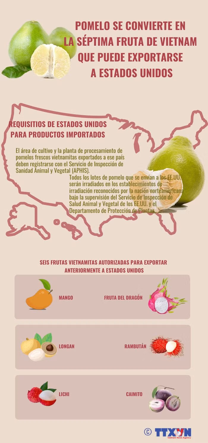 Pomelo se convierte en la séptima fruta de Vietnam que puede exportarse a EE.UU. ảnh 1