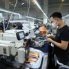 En una empresa en la provincia de Phu Tho. (Fuente: VNA)