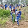 La provincia de Ha Tinh ha movilizado a cientos de militares, policías, guardacostas y residentes locales para reforzar urgentemente el dique de Hoi Thong. (Fuente: VNA)