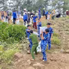 La provincia de Ha Tinh ha movilizado a cientos de militares, policías, guardacostas y residentes locales para reforzar urgentemente el dique de Hoi Thong. (Fuente: VNA)