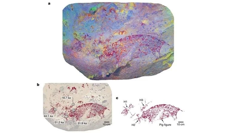 Una pintura en una cueva de Indonesia (Foto: Universidad Griffith)