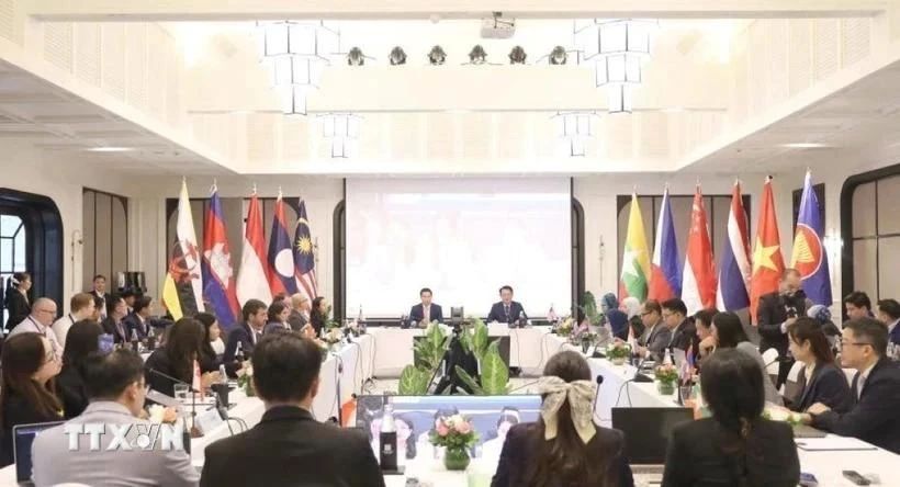 En la 19 reunión del Grupo de Trabajo del Foro de la ASEAN sobre Tributación en la provincia de Luang Prabang, Laos. (Foto: VNA)