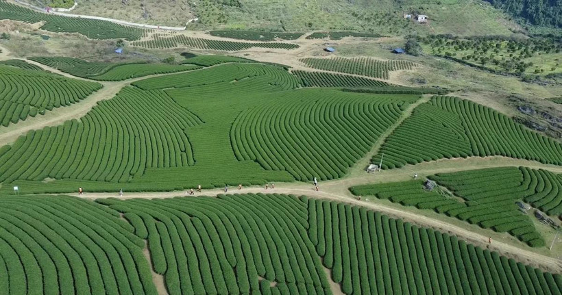 Un rincón de la Zona Turística Nacional de Moc Chau (Fuente: VNA)