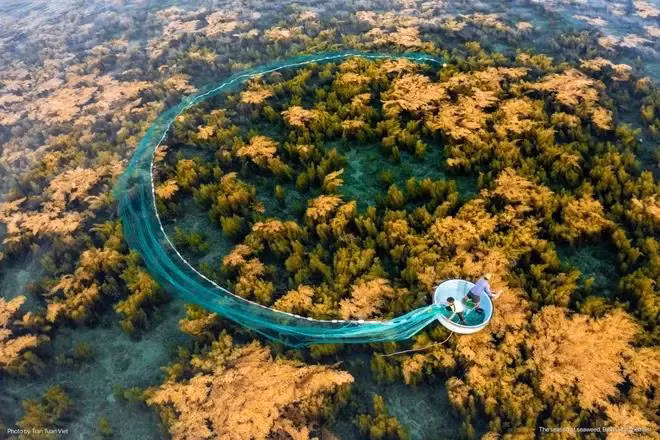 La belleza natural de Vietnam (Fuente: Vietnam+)