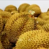Exportación de durian de Vietnam a China. (Fuente: VNA)