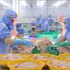 La industria del pangasius en la provincia de An Giang busca un crecimiento sostenible. Foto: VNA