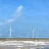La provincia de Vinh Long ha puesto en funcionamiento 13 parques eólicos con una capacidad total de 572 MW. Foto: VNA