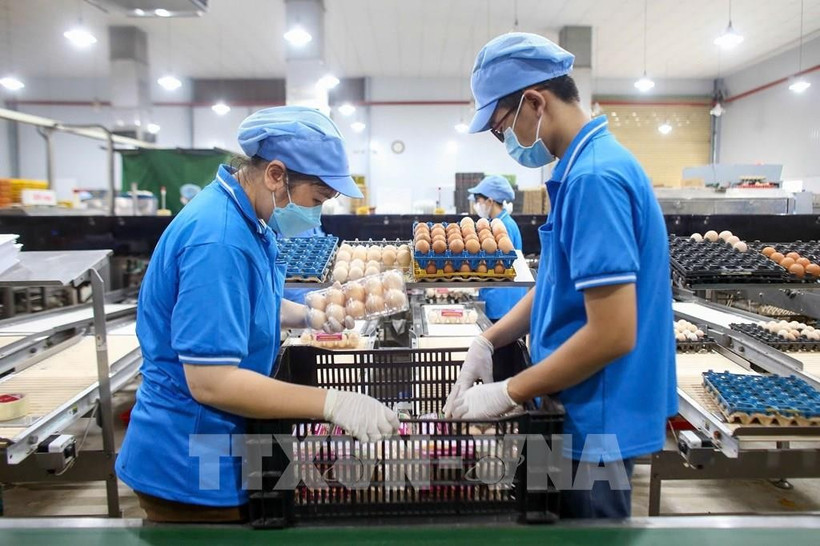 Foto ilustrativa. (Fuente: VNA)