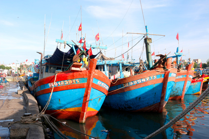Barcos atracan en el puerto de Phan Thiet, provincia vietnamita de Lam Dong. (Foto: VNA)