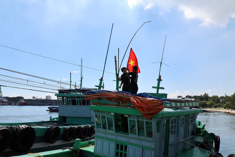 Intensifica Vietnam la cruzada contra la pesca ilegal. (Foto: VNA)
