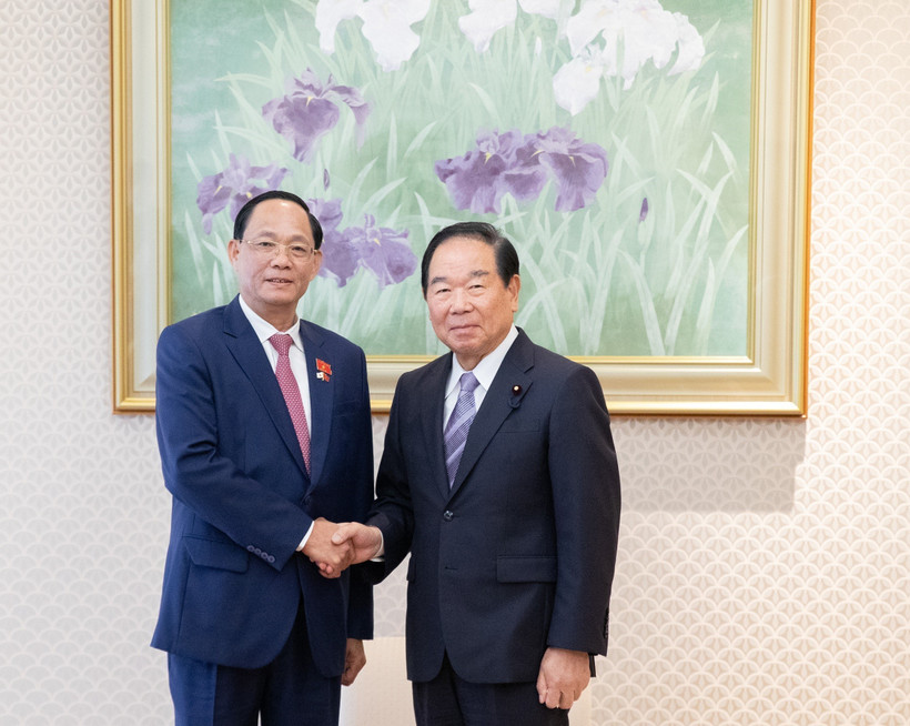 El vicepresidente de la Asamblea Nacional de Vietnam, Tran Quang Phuong, se reúne en Tokio con el presidente de la Cámara de Representantes de Japón, Nukaga Fukushiro. (Foto: VNA)