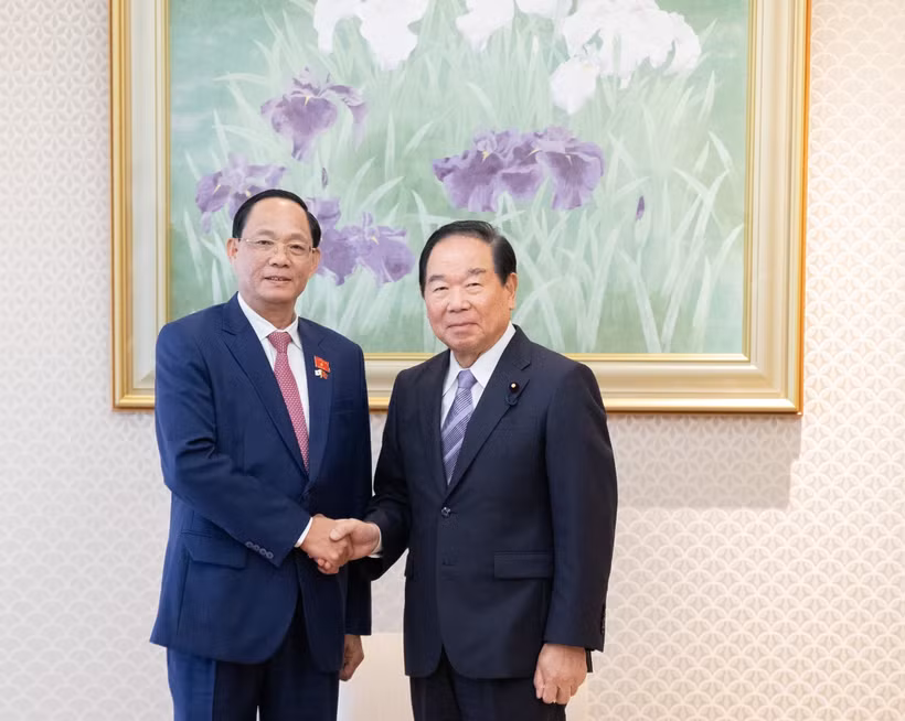 El vicepresidente de la Asamblea Nacional de Vietnam, Tran Quang Phuong, se reúne en Tokio con el presidente de la Cámara de Representantes de Japón, Nukaga Fukushiro. (Foto: VNA)