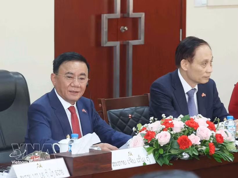 El miembro del Buró Político y permanente del Secretariado del Comité Central del Partido Comunista de Vietnam, Tran Cam Tu. (Foto: VNA)