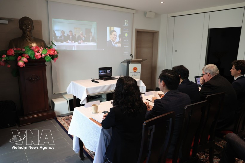 Representantes de ministros y sectores relativos de Vietnam también asisten al seminario en línea. (Foto: VNA)