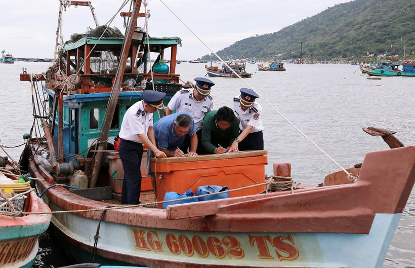Propietarios de embarcaciones pesqueras firman su compromiso de no incurrir en la pesca IUU. (Foto: VNA)