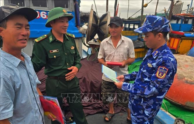 La ciudad controvietnamita de Da Nang refuerza las medidas contra la pesca ilegal. (Foto: VNA)