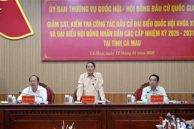 Comité Permanente del Parlamento de Vietnam supervisa preparativos electorales en provincia sureña de Ca Mau (Foto: VNA)