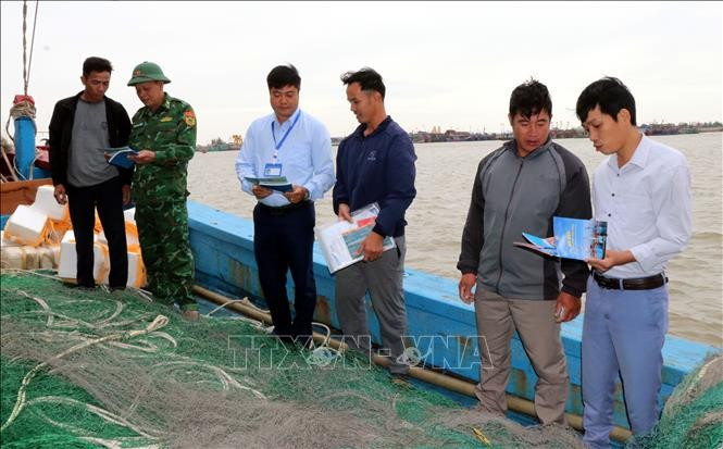 Ninh Binh intensifica lucha contra pesca ilegal. (Foto: VNA)