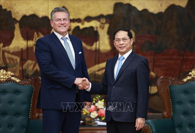 El viceprimer ministro de Vietnam Bui Thanh Son recibe al comisario de Comercio y Seguridad Económica de la Unión Europea, Maros Sefcovic. (Foto: VNA)