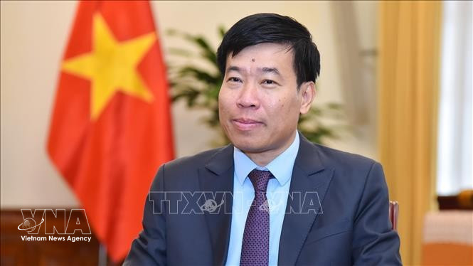 El viceministro de Relaciones Exteriores Nguyen Manh Cuong (Foto: VNA)