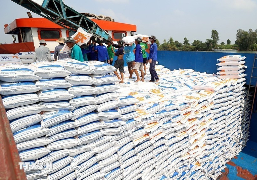 Exportaciones de arroz de Vietnam aumentan un 5% en los dos primeros meses de 2026 (Foto: VNA)