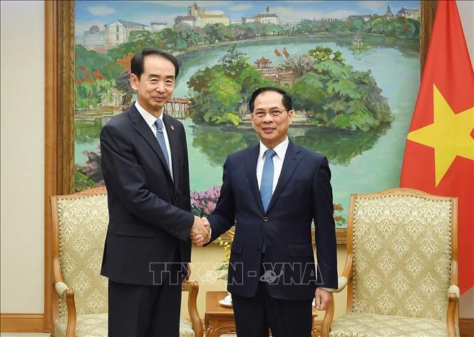 El viceprimer ministro de Vietnam Bui Thanh Son y el embajador chino, He Xiang. (Foto: VNA)