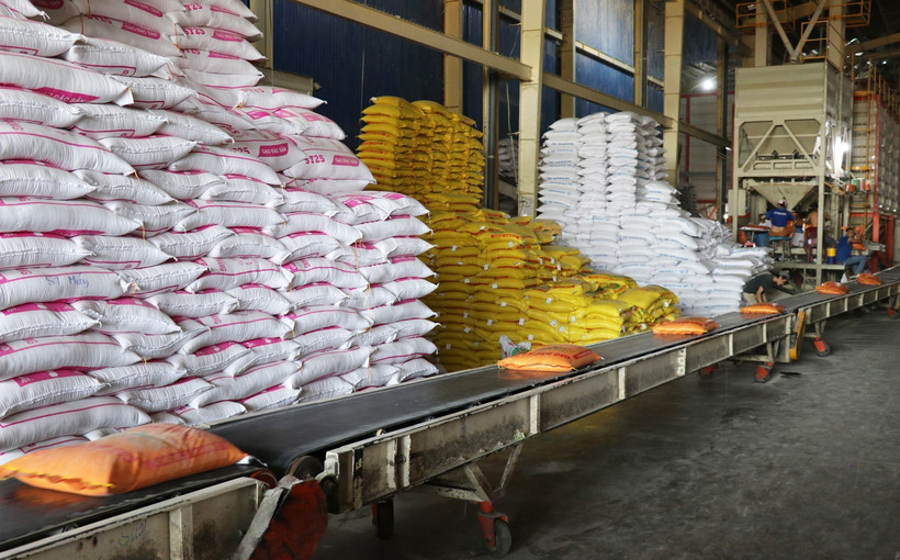 Vietnam supera 7 millones de toneladas de arroz exportado pese a caída de precios. Foto: VNA
