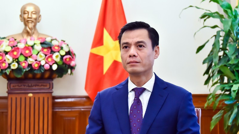 El viceministro de Relaciones Exteriores Dang Hoang Giang. (Foto: VNA)